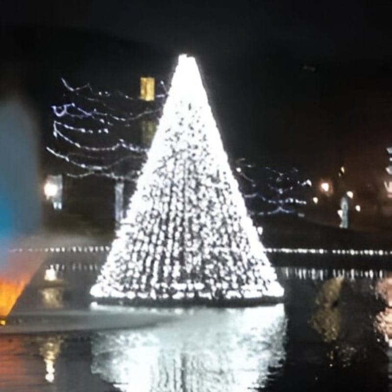 Floating Christmas Tree for Pond