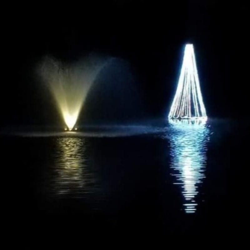 Floating Christmas Tree for Pond