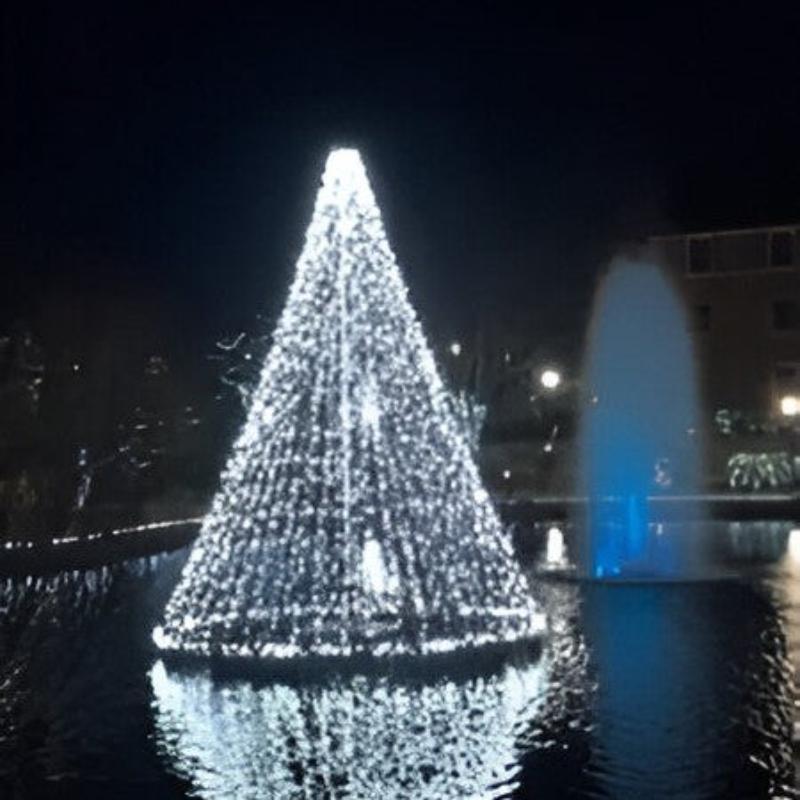 Floating Christmas Tree for Pond