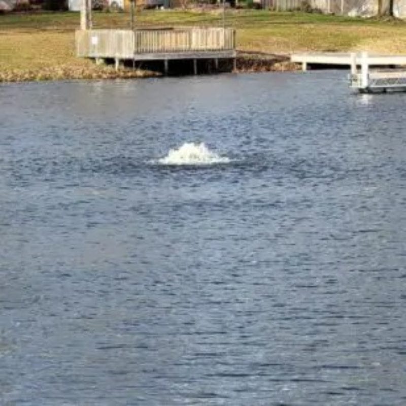 Vanguard Pond Spa Surface Aerator / De-Icer