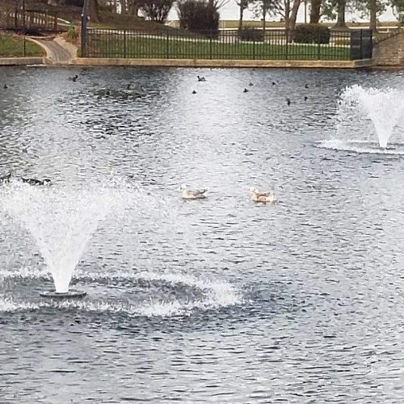 Vanguard Typhoon 3/4 HP Floating Display Aerator